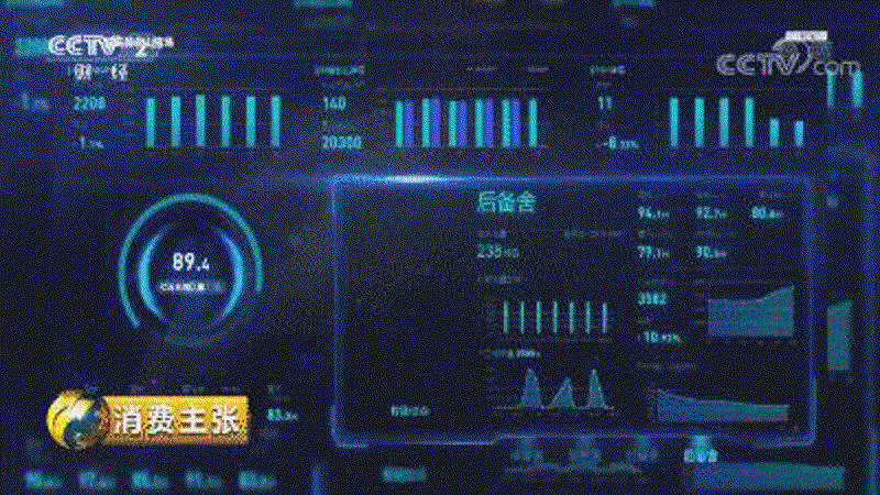 探索SEO站群：构建网络帝国的艺术